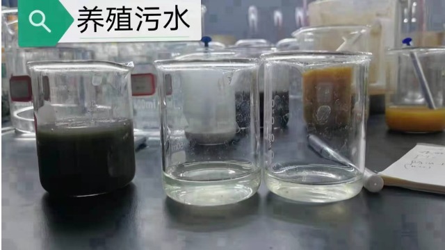 陽離子聚丙烯酰胺有何特性及作用？